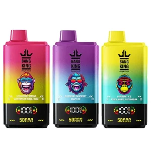 Bang King vape 50000 puff 2フレーバー切替 10PCS/1 box