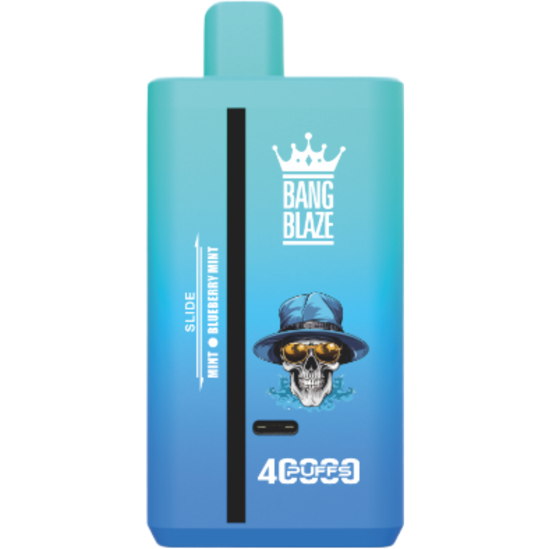 Bang Blaze vape 40000 puff 2フレーバー切替 10PCS/1 box - 画像 (7)