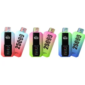 Bang vape 25000 puff 10PCS/1 box