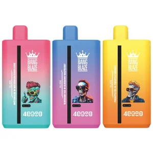 Bang Blaze vape 40000 puff 2フレーバー切替 10PCS/1 box