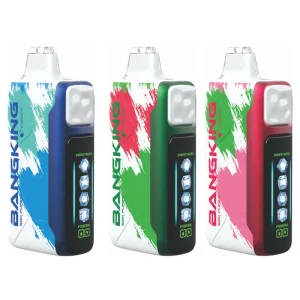 Bang King ICEX vape 60000 puff 10PCS/1 box