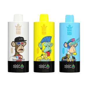 Bang King vape 85000 puff 3フレーバー切替 10PCS/1 box
